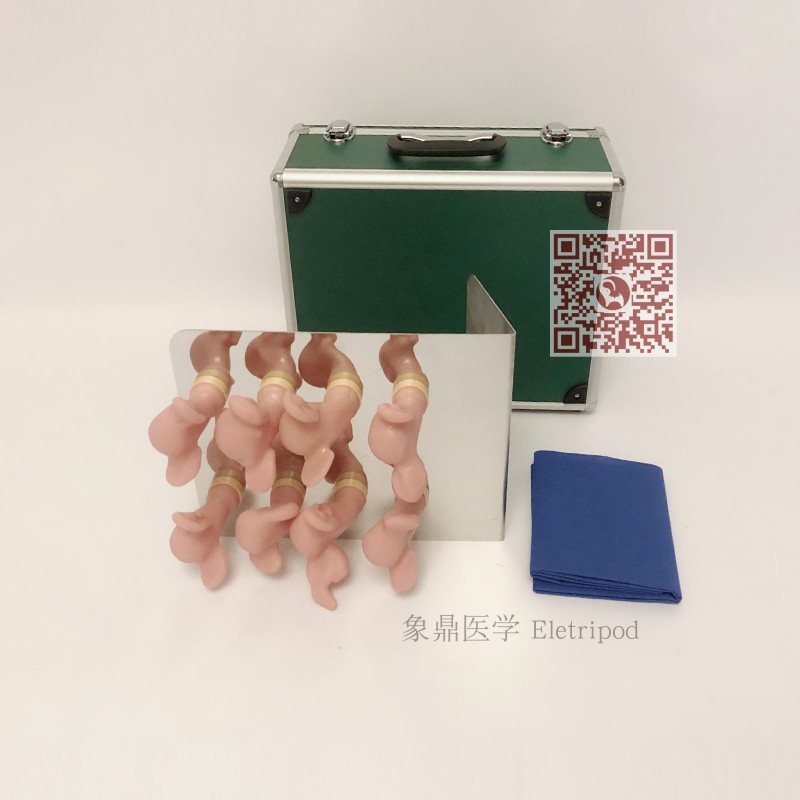 Eletripod 象鼎医学 高级子宫宫颈病变模型（8件）   ET/ZG