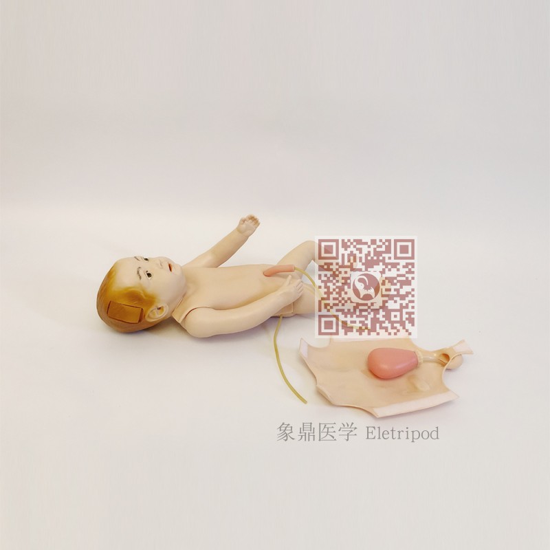 Eletripod 象鼎医学 高级婴儿全身静脉穿刺模型 ET/HS9