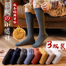 Calf stockings mens high cylinder long socks mid-cylinder pure cotton autumn winter thickened and velvety long cylinder warm and deodorant mid-aged