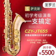 SEROLLAN Saint Laurent Nhạc cụ B-phẳng Alto Saxophone Vàng và Vật liệu Đồng Gia cố đôi - Nhạc cụ phương Tây