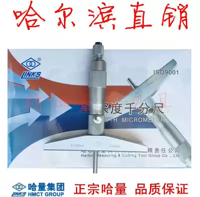 Harbin Gong Ha Measuring Depth Micrometer 0-250-100 0-200 0-300*0 01mm Harbin