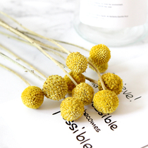  Natural gold ball dried flower bouquet small fresh home furnishings decoration immortal flowers elegant Nordic style modern simplicity