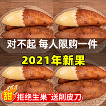 Tianshan snow lotus fruit fresh red heart Special Class 9kg Yunnan now digging snow fruit fruit 5 should Season specialty 10