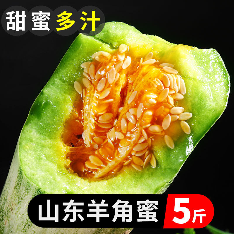Shandong goat's horn honey melon 5 catty fresh fruit crisp and sweet melon Miwa should season sheep's corner crisp whole box 10