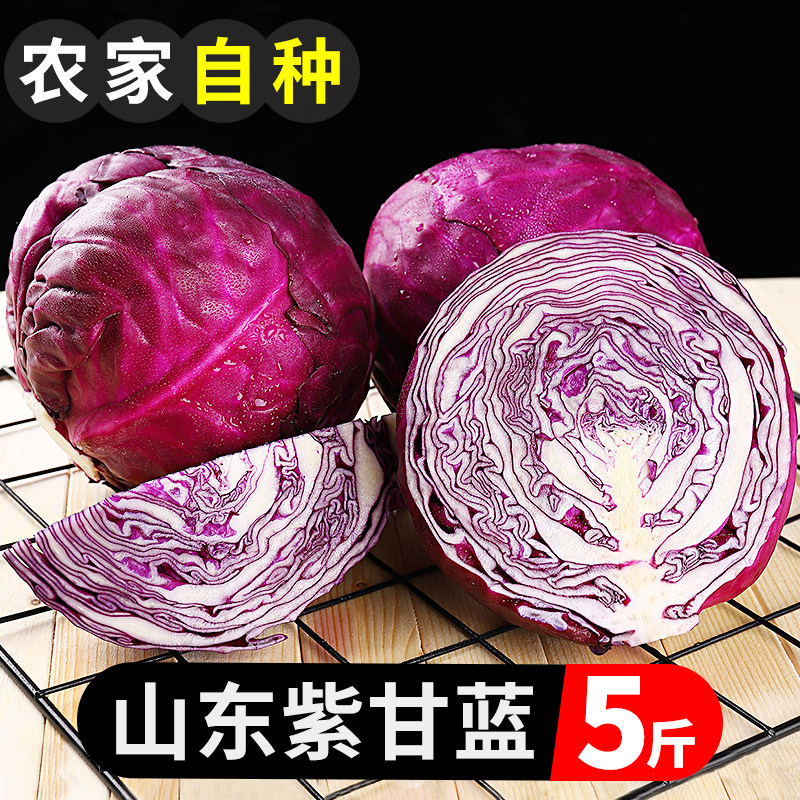 Shandong Fresh Ziganlan 5 catty farmhouse Self-planted vegetable round-wrapped vegetable cabbage cabbage lettug should be a season salad lettug