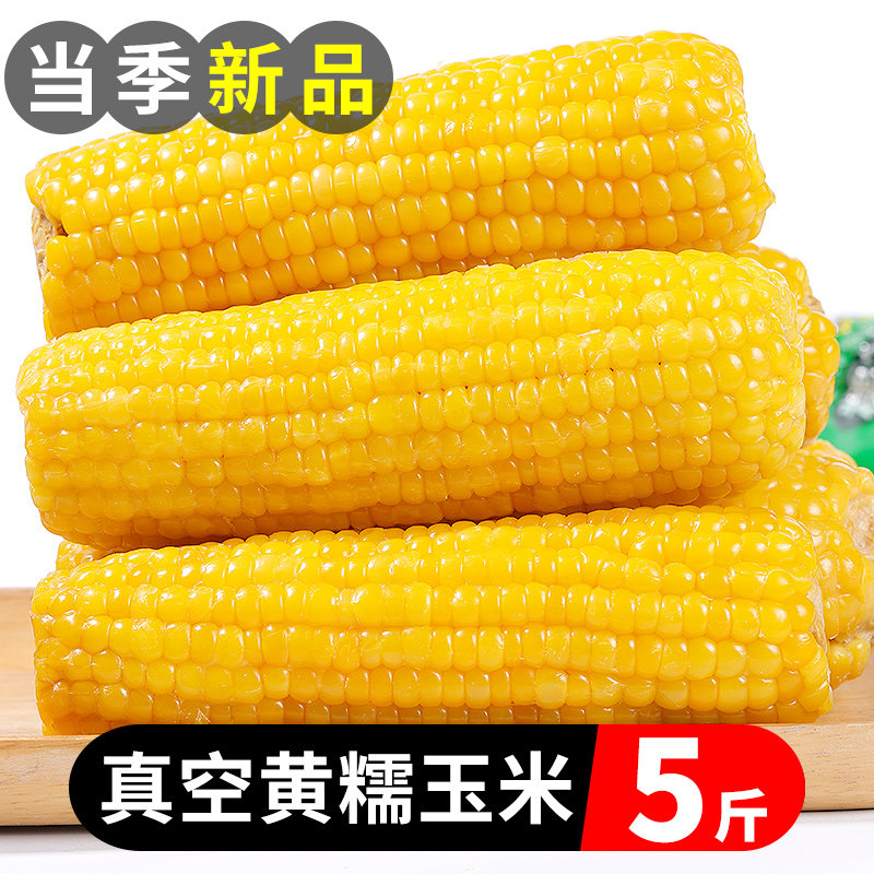 Northeast Yellow Glutinous Corn 5 Catty Fresh When Season Blast Syrup Ice Sugar Sweet Corn Shoots Raw Eating Whole Box Now Off Glutinous 10