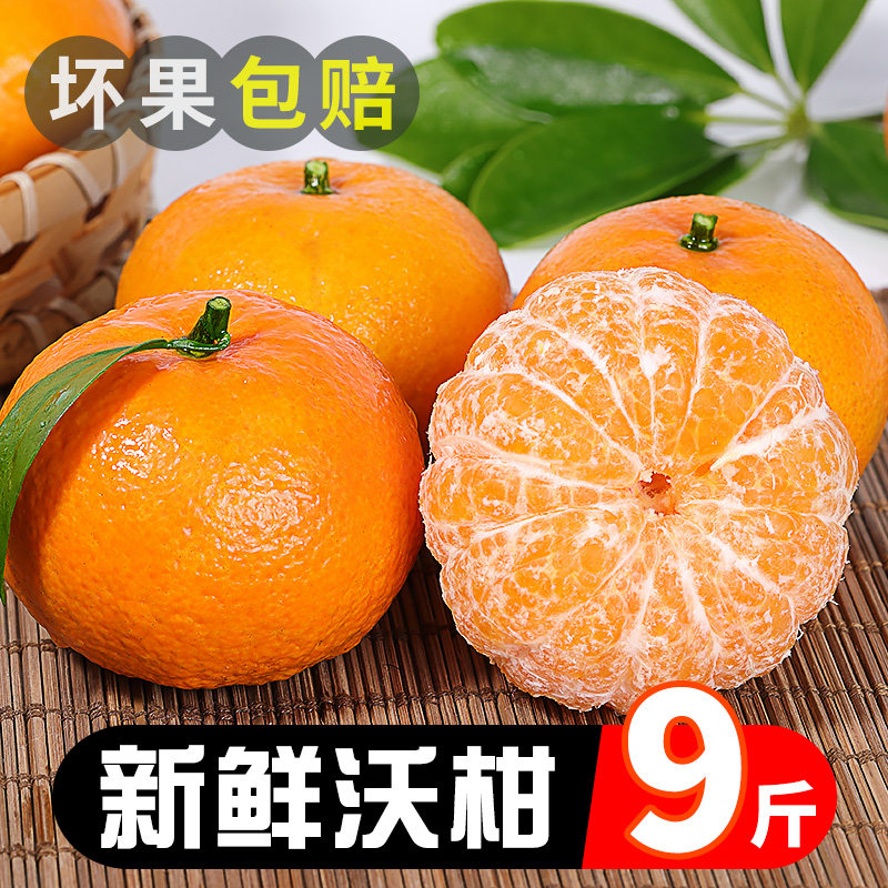 Guangxi wuming Vooranges 9 catties of fresh fruit When season the whole box Emperor sand sugar orange orange orange orange tangerine orange 10