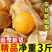 Northeast girl fruit 3kg net weight specialty fruit fresh season whole box of rhubarb Lantern mushroom fruit pick 5