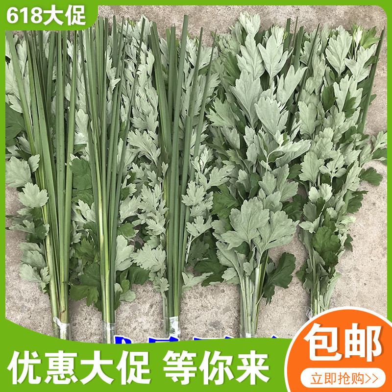 Fresh Fragrant Calamus Grass, Mugwort, and Wormwood Are Hung on Doors and Windows to Repel Mosquitoes during the Dragon Boat Festival, a Traditional Rural Custom Fresh Fragrant Calamus Grass, Mugwort, and Wormwood Are Hung on Doors and Windows to Repel Mosquitoes during the Dragon Boat Festival, a Traditional Rural Custom