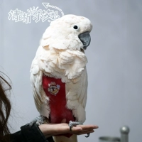 Седьмого генератора красный великий гигер