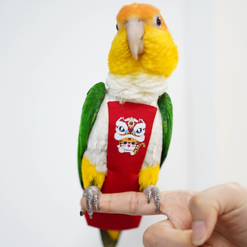 Седьмая генерационная моча не влажная, навоз, навоз, брюки, одежда, логотип службы полетов птиц, заказ