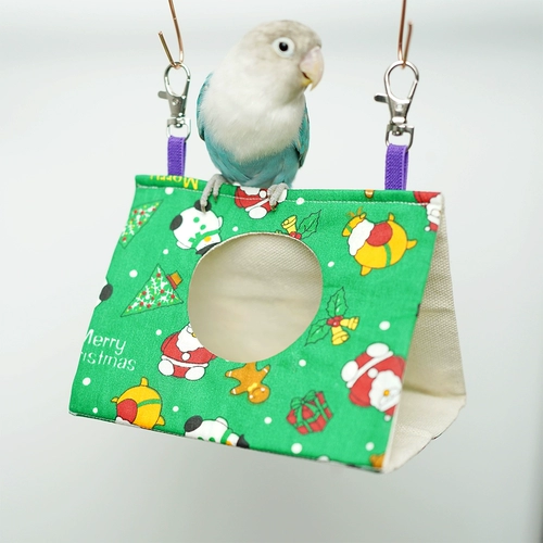 Птичье гнездо птичьего гнездо