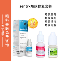 Centrx Corneal Repait Cat Ulceration Dog Eyeliconic Eye Perforated Corneal Realated Humus 0-75 Eye Drops