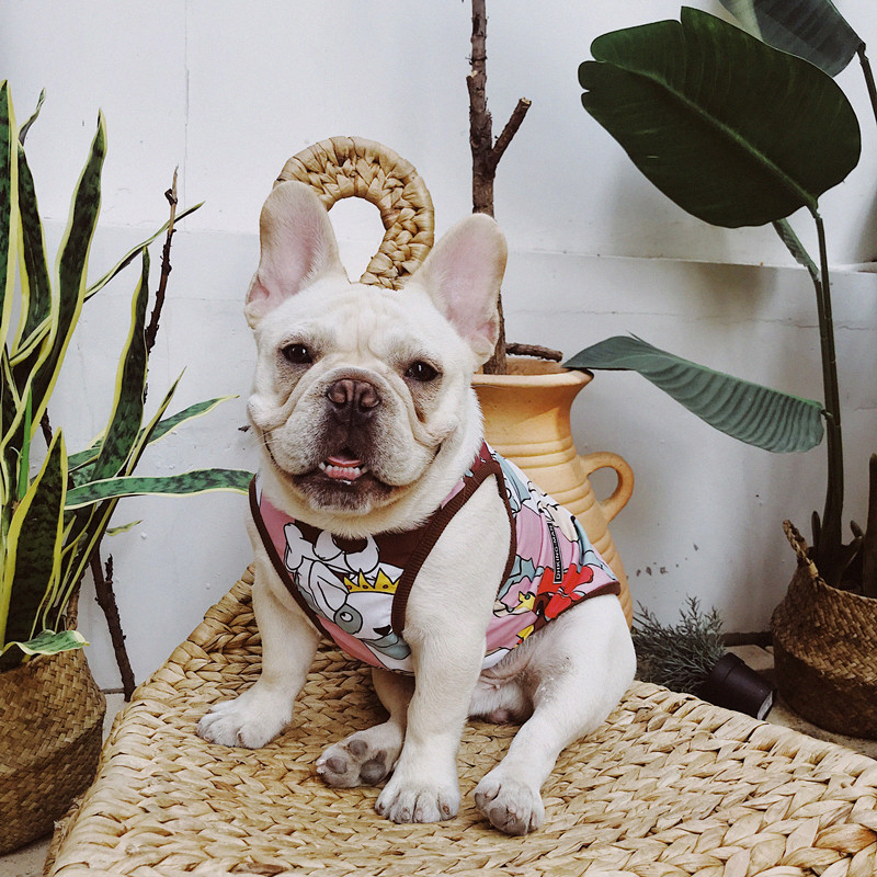 French bulldog pets dog dog clothes small dog 8 Gothic fighting vest T-shirt Bagbrother Infighting Chaos