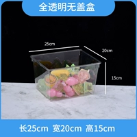 Полностью прозрачный без покрытия 25*20*15