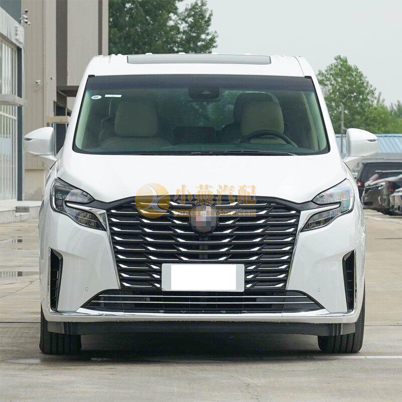 Набор для модификации передней решетки Buick GL8 652T 653T (Avneir style)