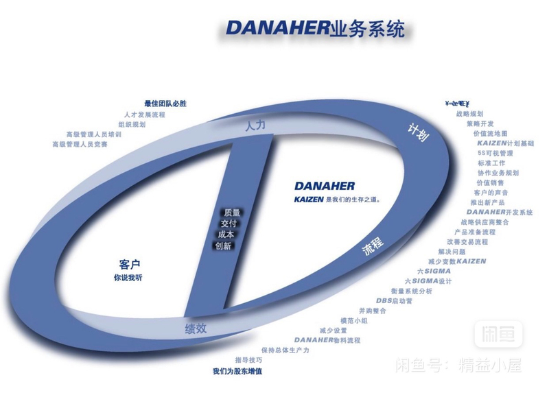 Danaher Dbs Lean Electronic Data Materials, 51 Documents + 27 Forms, Complete Set for 129 Yuan