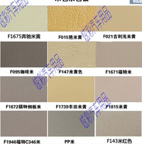 Car interior paint dashboard leather seat steering wheel refurbishment color change paint interior self-painting repair paint 9