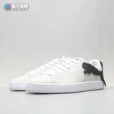 Beacon Puma Загрязняет кот Большой логотип Мужчины и женские низкие повседневные кроссовки 380865-01