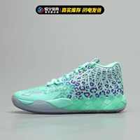 Зеленый 311401-01 Spot, противостоять подлинным фальшивым.