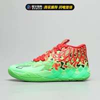 Зеленый и красный 310508-01 Spot Counter-Contre Подлинное поддельное наказание три