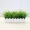 Mô phỏng hoa cỏ cỏ hàng rào gỗ đặt phòng khách nhà trong nhà sàn nhà bằng nhựa hiển thị chậu cây giả - Hoa nhân tạo / Cây / Trái cây