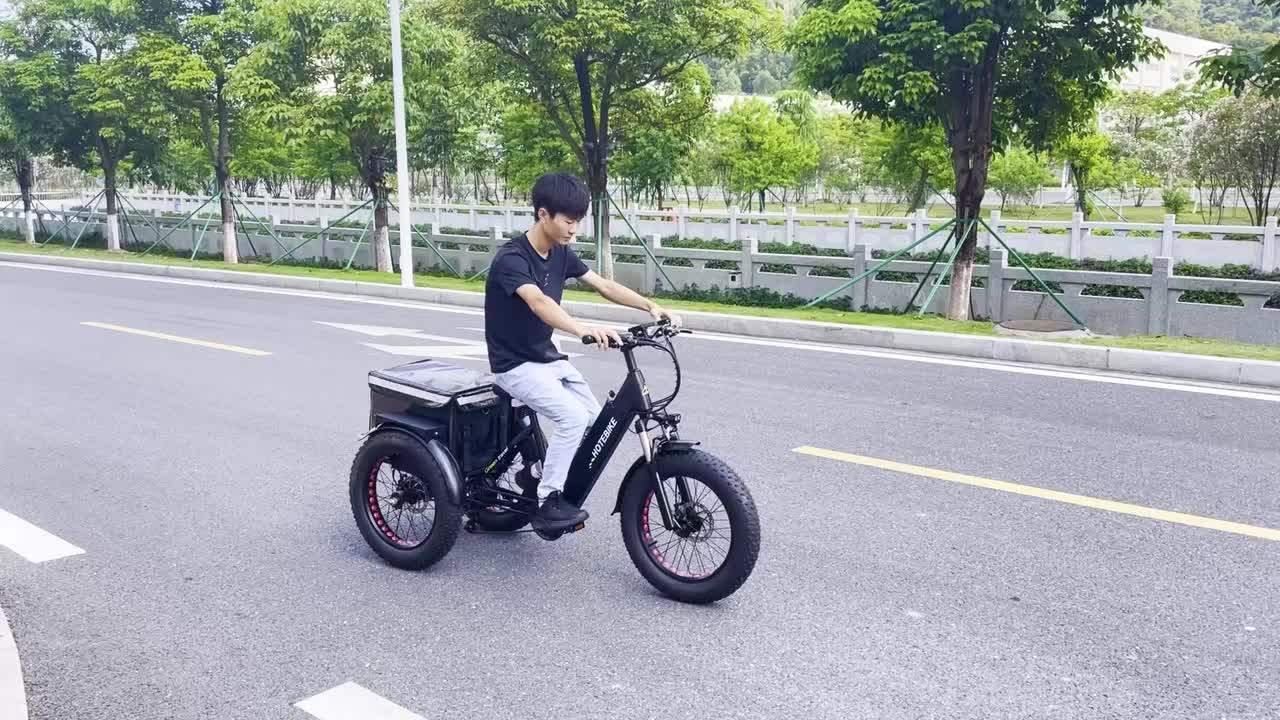 Electric Delivery Tricycle 20*4.0 Inch Fat Tire High Speed Electric