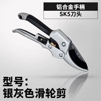 Серебряный серебряный шкив