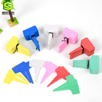 100 PVC plastic label flower label flower sign green plant fleshy label Orchid label