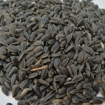 Budgerigar feed bird oil sunflower small melon seeds Pearl food Wen Bird Yellow bird food 250g Xuanfeng millet