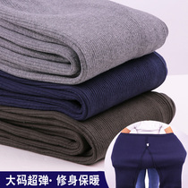 Student plus size warm pants youth high elastic slim fit thick cotton wool pants plus fertilizer plus size pure cotton thermal pants men