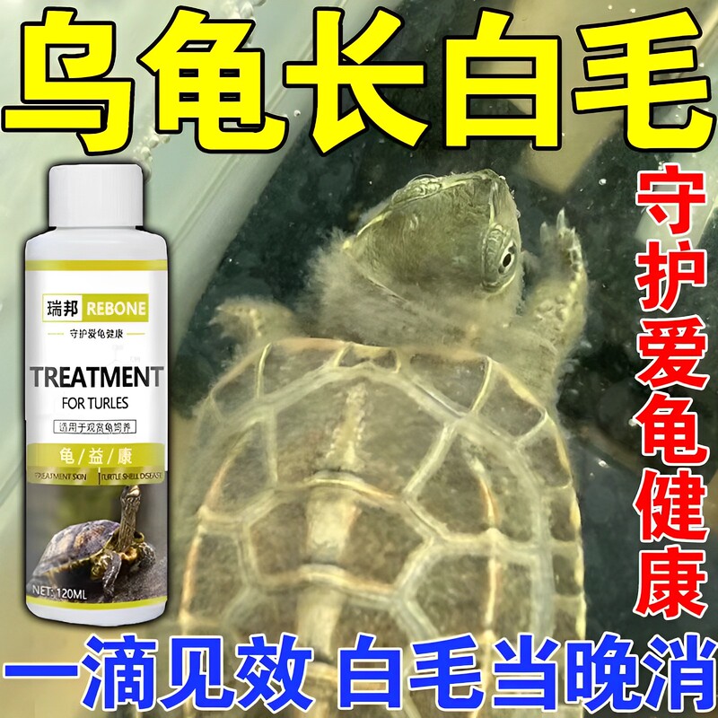 Turtle Water Mold Disease, White Hair and White Spots on the Limbs and Body, Special Turtle Medicine for Eliminating Mold and Mildew for Brazilian Turtles and Grass Turtles