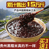 Black glutinous rice new rice Guizhou specialty authentic farmhouse blood glutinous rice dumplings rice purple rice 500g black rice miscellaneous grains Qianbaokang