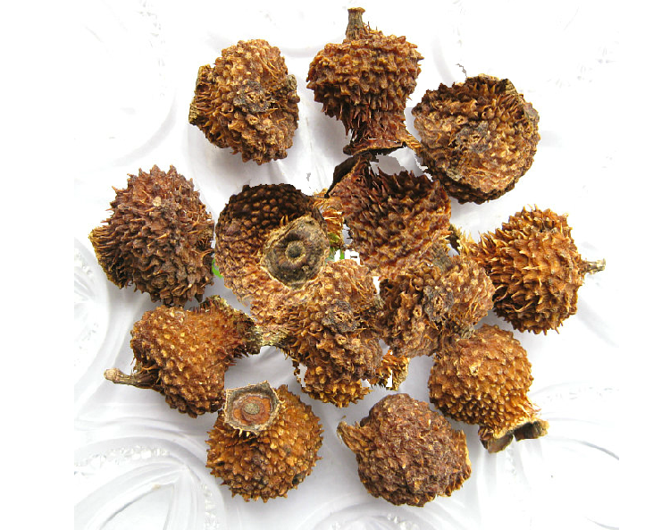 Ci Li Dried Fruit (Rosa roxburghii) — Guizhou Wild-Grown Herbal Tea Fruit, 500g in use