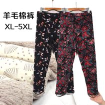 Middle Aged Lady Cotton Pants Thickened and Fat Mom GFat Step up Yard Wool cotton pants can be worn out of 200 catty