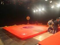 Sanda ring Sanda competition equipment