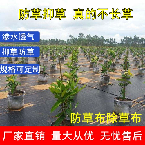 Анти -анти -атти -садовника из наземной ткани фруктовые деревья Проницаемая трава, покрывающая трава и воздушная ткань из теплицы