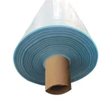 Омолаживающий термос для домашнего использования, сельскохозяйственная прозрачная пластиковая клубника, увеличенная толщина