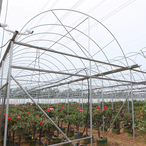 Скелетный скелет сельскохозяйственный посадка стойка для парниковых оцинкованных стальных полков
