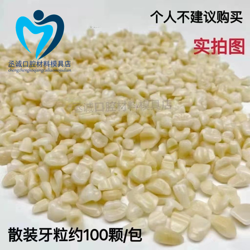 牙科散牙粒大牙前牙后牙混装树脂牙练习排牙模型用加工厂用散装牙