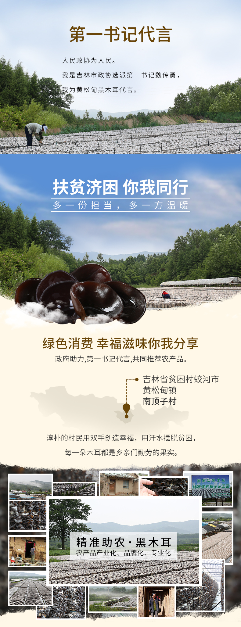 吉林政协书记推荐 铭优食品 东北特产黑木耳 500g 图1