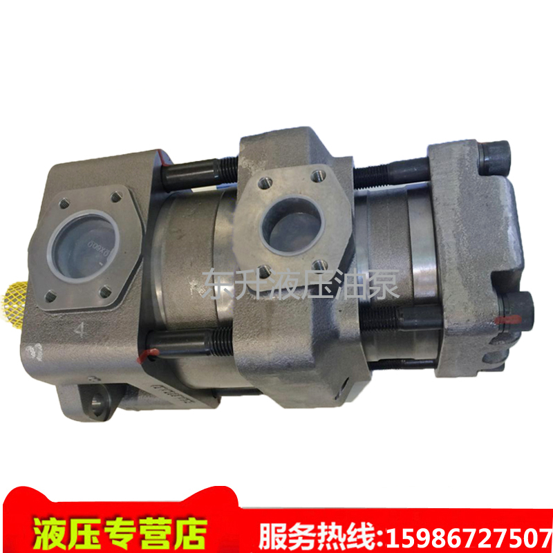 SUMITOMO SUMIMOTO HYDRAULIC DOUBLE GEAR PUMP QT52-63F-BP-Z servo sea-day injection molding machine electric pump