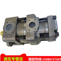Sumitomo SUMIMOTO Hydraulic Double Gear Pump QT52-63F-BP-Z Servo Haitian Injection Molding Machine Electric Pump