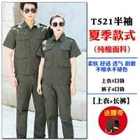 Летняя половина -521 [топ+брюки] пояс доставки