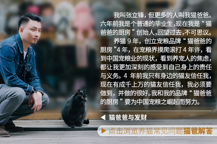 Cat Dad Homemade Thịt bò Hương vị Mèo tự nhiên Người lớn Mèo già Thức ăn Phân bón Kẹp tóc Garfield 1,5kg - Cat Staples hạt royal canin cho mèo