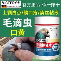 Hannover Clear Drop Protective Gale Pigeon Parrot Cleaning Hair Drops Wormmouth Yellow Oral White Point Spitting Mucus Mucus