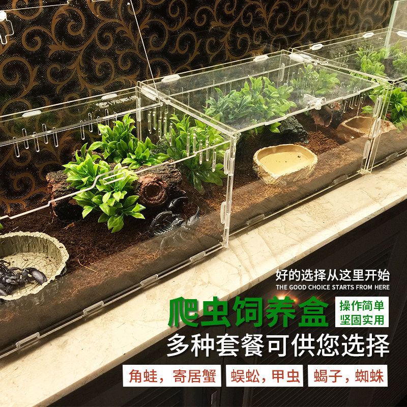 Reptile feeding box Acrylic crawler box crawler box spider lizard crawl pet beetle crawl pet box feeding box
