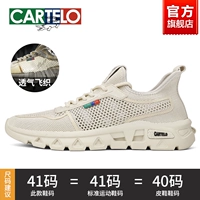 Бежевый-Дышащая сетка Flying-9334