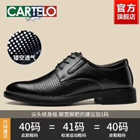 Черно-полая модель-6609T