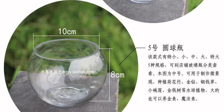 Guanyin tre xanh nước thủy canh bình ngỗng hình trứng tròn miệng chai thủy tinh trồng cây thủy canh chậu hoa bình nhỏ phong cách châu Âu - Vase / Bồn hoa & Kệ chậu chữ nhật trồng cây